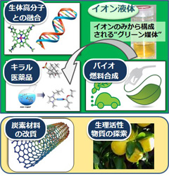 石川研究室