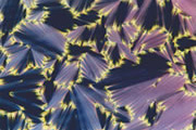 分子の能力を引き出して高機能性マテリアルを作る(氏家教授)